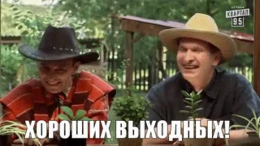 😃 Стикер «Сваты» для Telegram