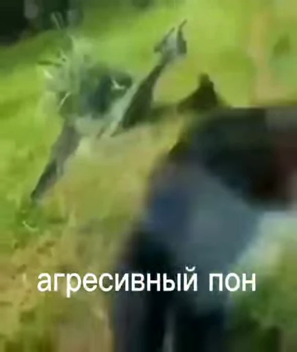 🆗 Стикер «animated bullshit» для Telegram