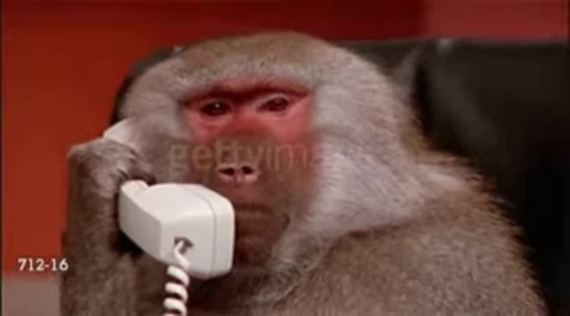 📞 Стикер «animated bullshit» для Telegram