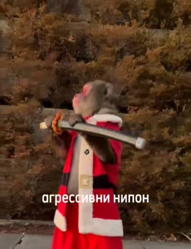🤨 Стикер «animated bullshit» для Telegram