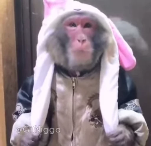 🙉 Стикер «animated bullshit» для Telegram