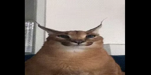😋 Стикер «animated bullshit» для Telegram