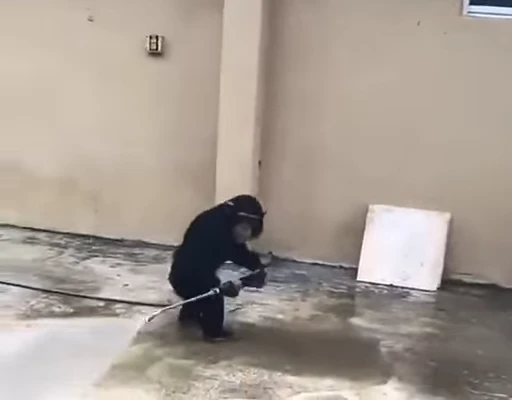 🤮 Стикер «animated bullshit» для Telegram