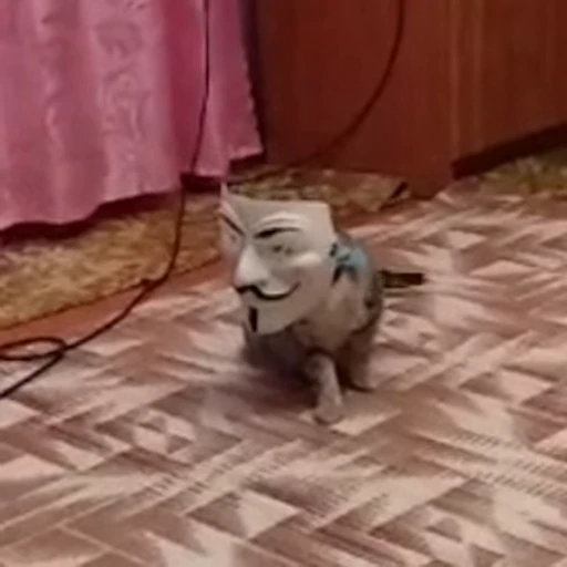 🙄 Стикер «animated bullshit» для Telegram