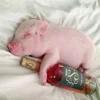 Стикер 55 😋 Pig emoji - миленькие поросятки