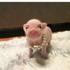 Стикер 51 😋 Pig emoji - миленькие поросятки