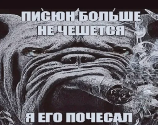 🥰 Стикер «люблю любить пиздец» для Telegram