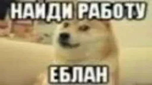 👎 Стикер «люблю любить пиздец» для Telegram