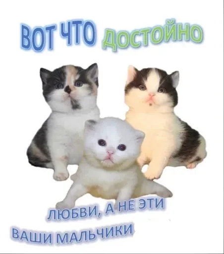 💖 Стикер «люблю любить пиздец» для Telegram