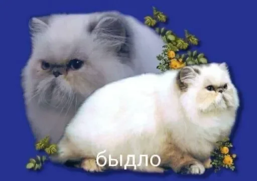 🖕 Стикер «люблю любить пиздец» для Telegram
