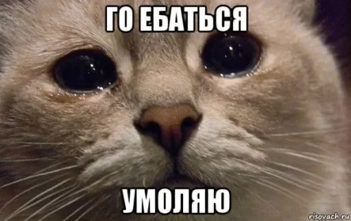 🔞 Стикер «люблю любить пиздец» для Telegram