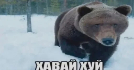 🖕 Стикер «люблю любить пиздец» для Telegram