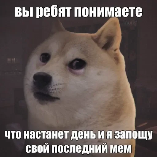 ⚰ Стикер «люблю любить пиздец» для Telegram