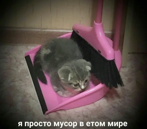 🗑 Стикер «SVP» для Telegram