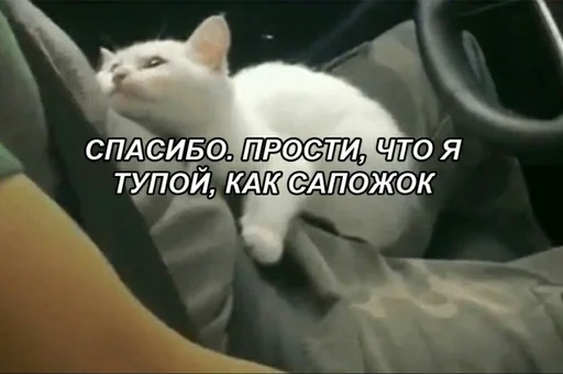 ❤️ Стикер «SVP» для Telegram