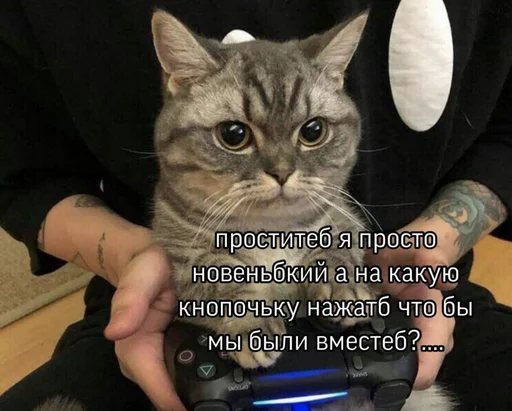 ❤️ Стикер «SVP» для Telegram