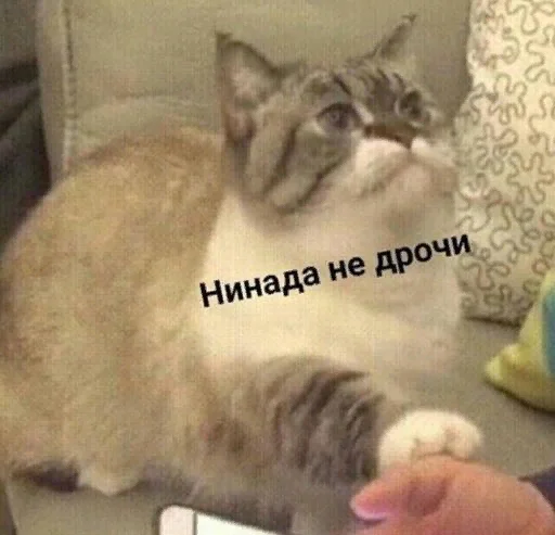 🙅‍♂️ Стикер «СВП пак» для Telegram