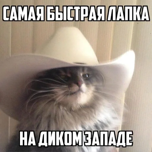 😏 Стикер «СВП пак» для Telegram