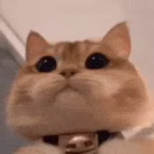 😸 Стикер «ржомбные гифки» для Telegram
