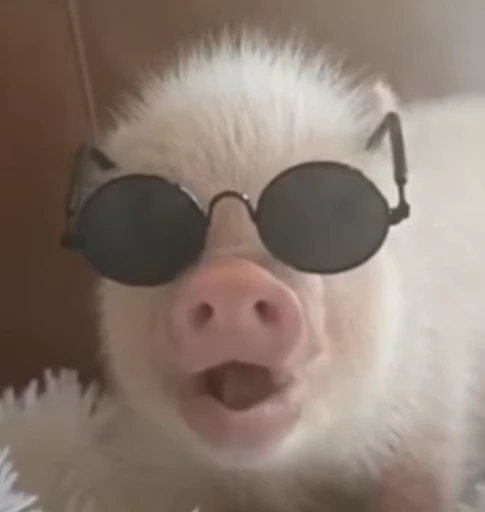 😎 Стикер «piggy» для Telegram