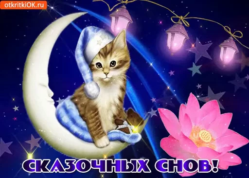 😴 Стикер «Sweet Dreams» для Telegram