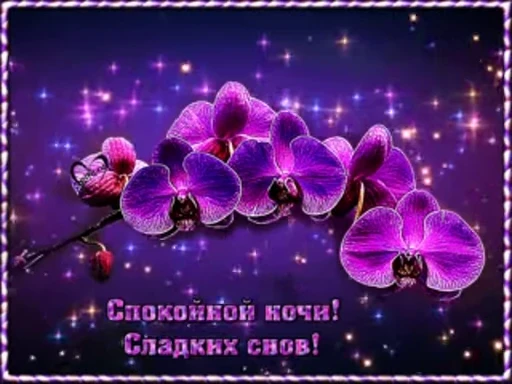 😴 Стикер «Sweet Dreams» для Telegram