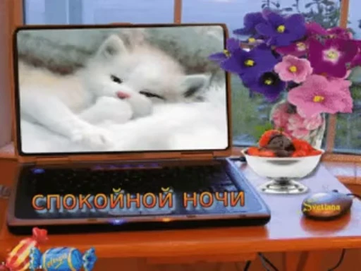 😴 Стикер «Sweet Dreams» для Telegram