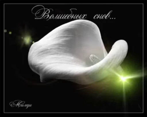 😴 Стикер «Sweet Dreams» для Telegram