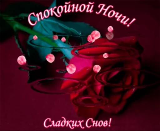 😴 Стикер «Sweet Dreams» для Telegram