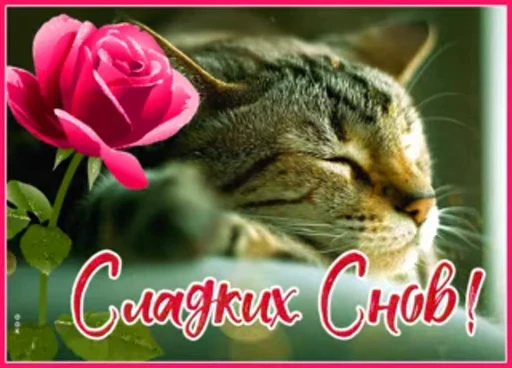 Стикерпак Sweet Dreams для Telegram