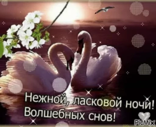 😴 Стикер «Sweet Dreams» для Telegram