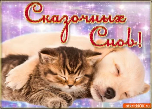 😴 Стикер «Sweet Dreams» для Telegram