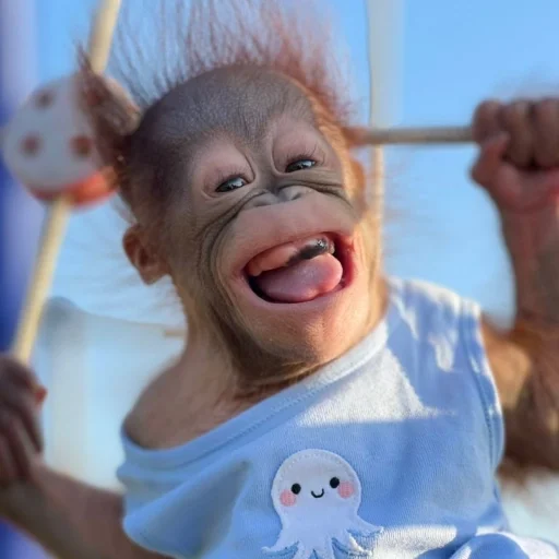👶 Стикер «sweetbaboons» для Telegram