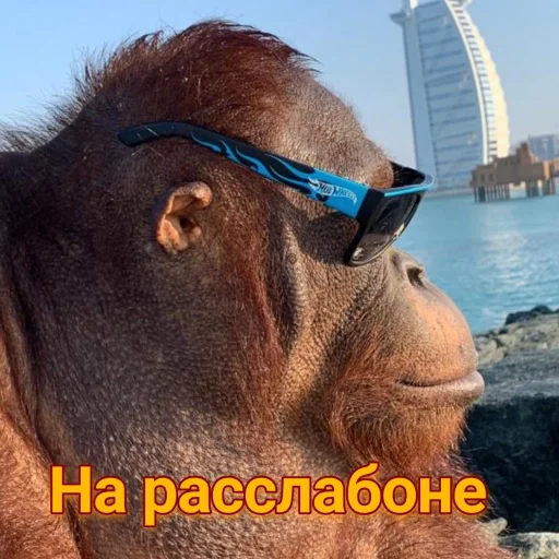 ☺ Стикер «sweetbaboons» для Telegram