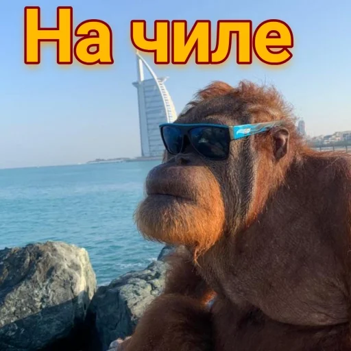 😊 Стикер «sweetbaboons» для Telegram