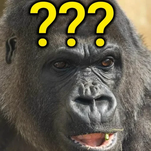 ❔ Стикер «sweetbaboons» для Telegram