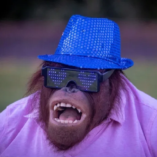 🐵 Стикер «sweetbaboons» для Telegram