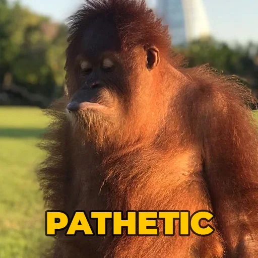 🐵 Стикер «sweetbaboons» для Telegram