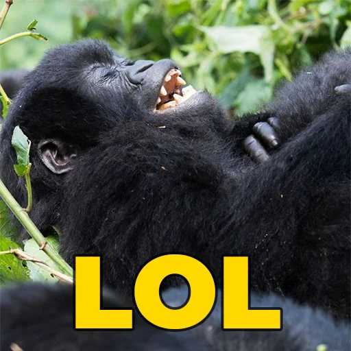 🐵 Стикер «sweetbaboons» для Telegram