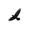 🖤 Эмодзи «Sweet black ⊹» для Telegram