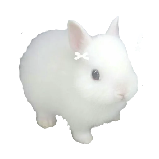 🐇 Стикер «сладкий» для Telegram