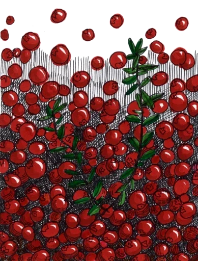 🍒 Стикер «Sweet Dreams» для Telegram