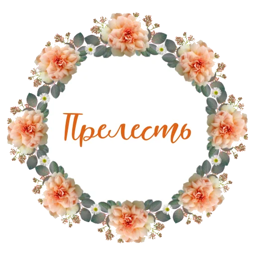 ❤️ Стикер «Домашний уют» для Telegram