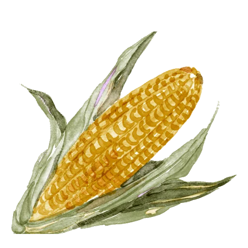 🌽 Стикер «Домашний уют» для Telegram