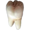 🦷 Эмодзи «TERR0R AESTH» для Telegram