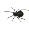 🕷 Эмодзи «TERR0R AESTH» для Telegram