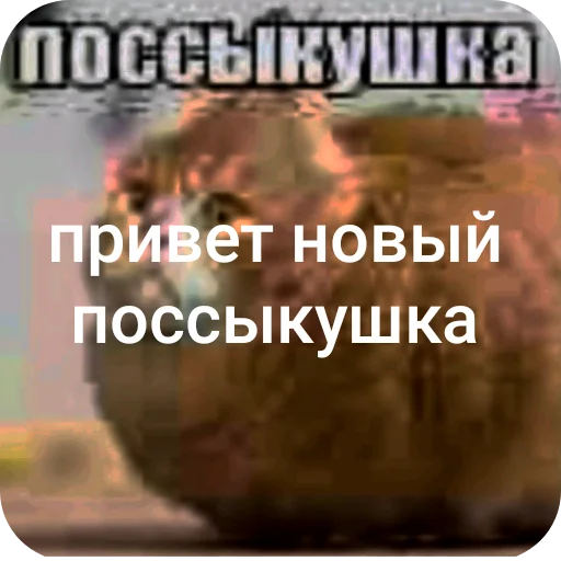 🤲 Стикер «поссыкушка» для Telegram