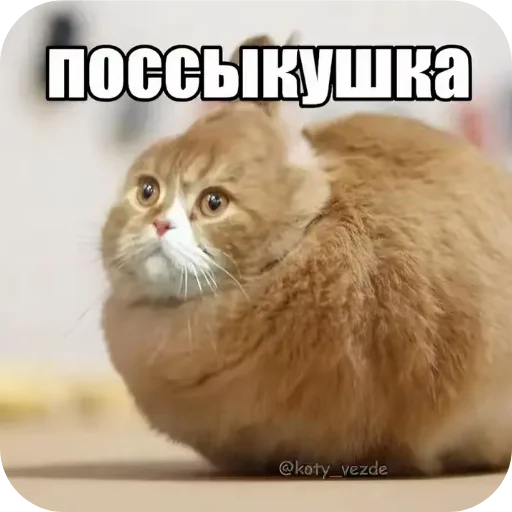👍 Стикер «поссыкушка» для Telegram