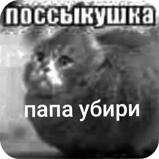 🖼 Стикер «поссыкушка» для Telegram