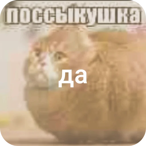 🤲 Стикер «поссыкушка» для Telegram